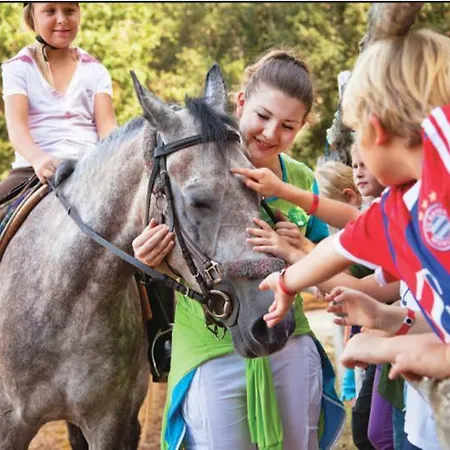 Отель Valamar Tamaris Lanterna